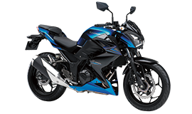 KAWASAKI Z250