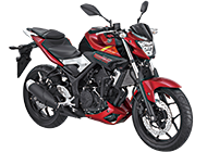 YAMAHA MT-25