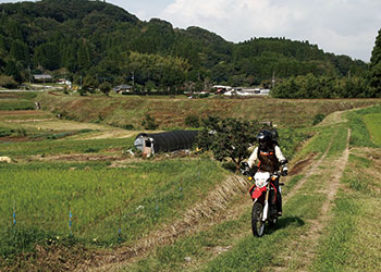 250ccȉIt[hoCN