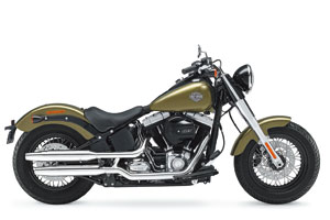 HARLEY-DAVIDSON FLS SOFTAIL SLIM