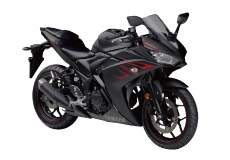 YAMAHA YZF-R25