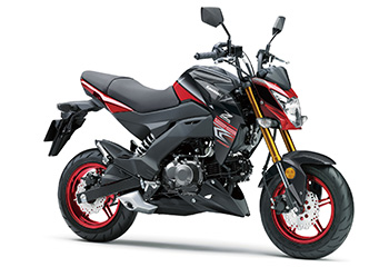 Z125PRO