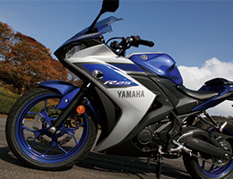 YZF-R25