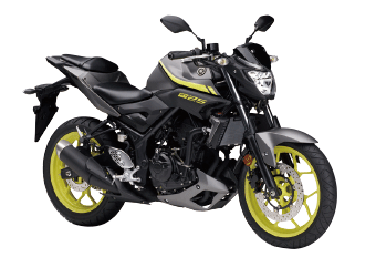 2018 YAMAHA MT-25