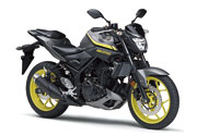YAMAHA MT-25
