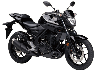 YAMAHA MT-25