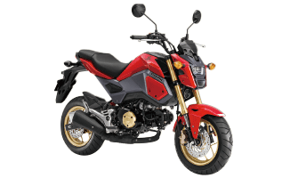 HONDA GROM