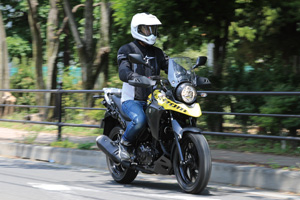 VXg[250