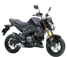 KAWASAKI Z125 PRO
