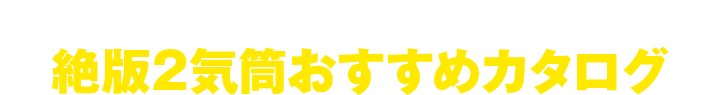 チョイ古モデルも侮れない!! 絶版2気筒おすすめカタログ