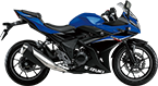 XYL GSX250R