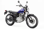 SUZUKI@GRASSTRACKER BIGBOY