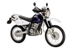 SUZUKI@JEBEL