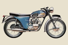 TRIUMPH T100S/S