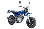 HONDA@APE50