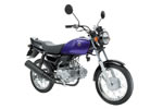 SUZUKI@GS50
