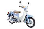 HONDA@Little CUB