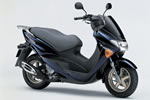 SUZUKI@AVENIS150