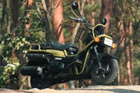 HONDA PS250