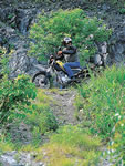 YAMAHA tricker