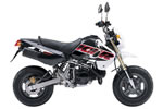 KAWASAKI KSR110
