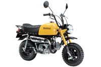 HONDA GORILLA