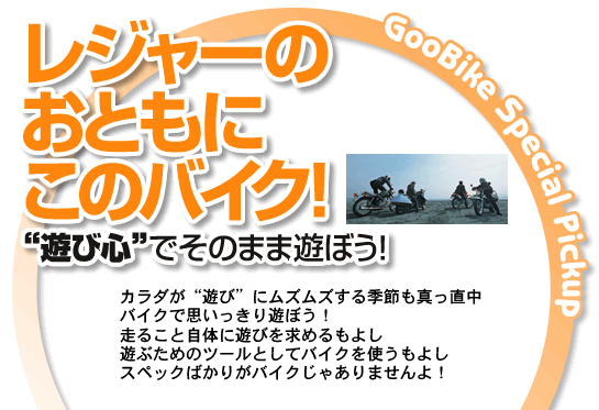 レジャーのおともにこのバイク!