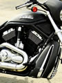 Harley Davidson VRSCD