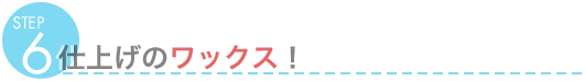 STEP6@dグ̃bNXI