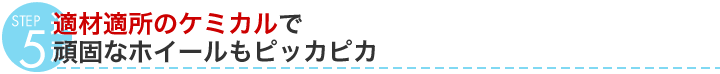 STEP5@KޓK̃P~JŊłȃzC[sbJsJ