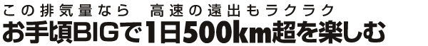 ̔rCʂȂẢoNN 荠BIG1500kmy