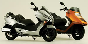 FORZA Z & FUSION SE