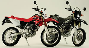 XR250 & XR250 Motard