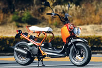 ZOOMER DELUXE