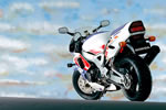 HONDA CBR900RR