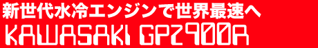 V㐅GWŐEőց@KAWASAKI GPZ900R