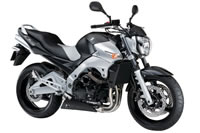 SUZUKI GSX