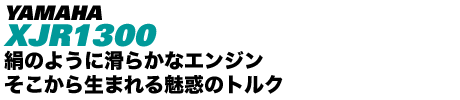 YAMAHA XJR1300 ̂悤Ɋ炩ȃGW 琶܂閣f̃gN