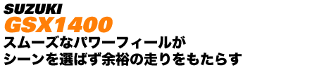 SUZUKI GSX1400 X[Yȃp[tB[ V[I΂]T̑炷