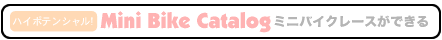 nC|eV!  Mini Bike Catalog  ~joCN[Xł