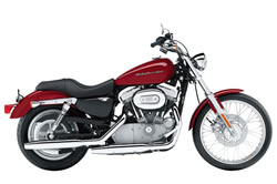 Harley Davidson  883