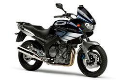 YAMAHA TDM900