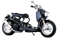 HONDA  ZOOMER fCgiJX^ 