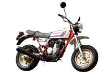 HONDA APE100