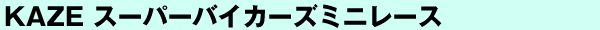 KAZE X[p[oCJ[Y~j[X