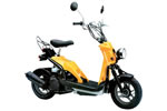 HONDA@Bite