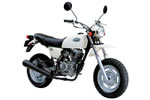 HONDA APE50