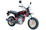 HONDA APE50 DX