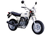 HONDA Ape100