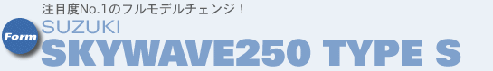 ړxNo.1̃tf`FWI SUZUKI SKYWAVE250 TYPE S